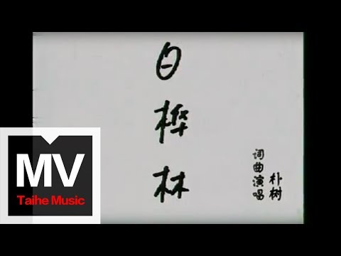朴樹【白樺林】官方完整版 MV