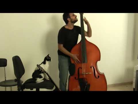 My Cat Tries To Play The Double Bass