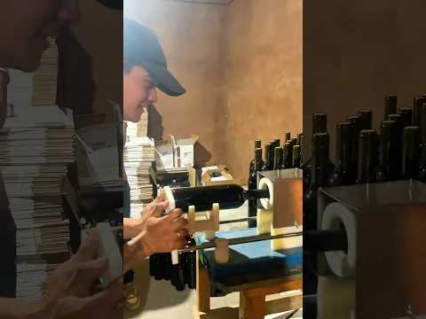 Experiencia completa en finca Don Diego, Fiambalá📍#bodegas #motorhome #vanlife