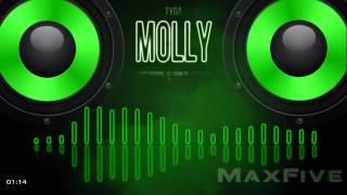 Tyga ft  Wiz Khalifa &amp; Mally Mall   Molly ( BassBoost )