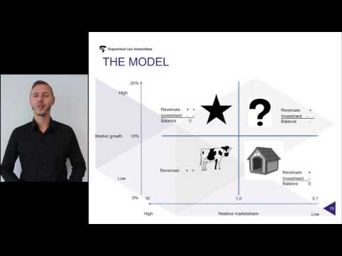 The BCG model explained