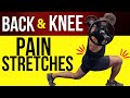 Back & knee pain? stretches with professional basketball coach