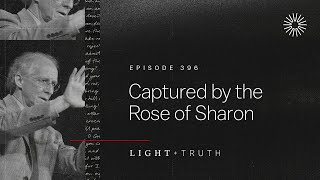 Captured by the Rose of Sharon