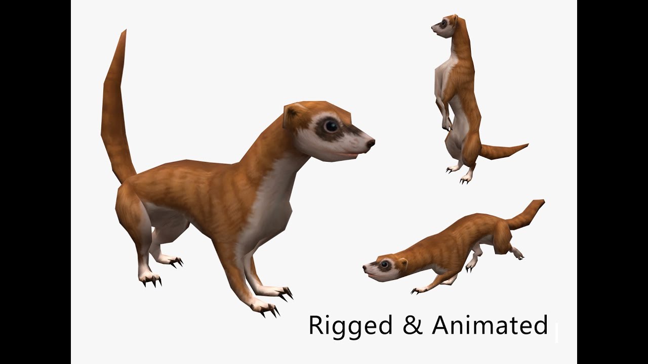 Animated weasel 3D Model