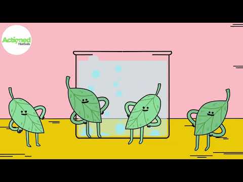 Bhringraj extract powder, packaging size: 500gm