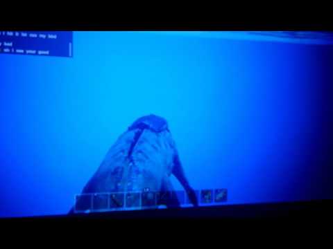Ark invisible squid glitch XBOX ONE