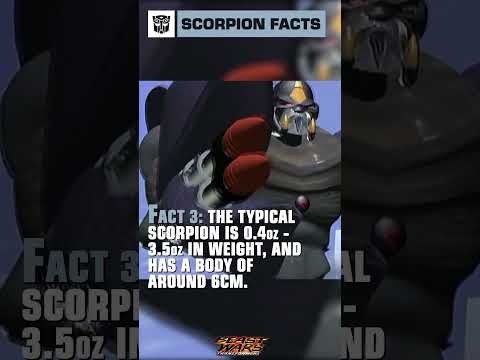 Scorpion Fun Facts with Scorponok #transformers #beastwars #youtubeshorts