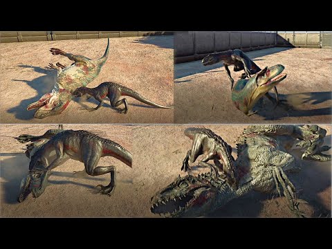 Indoraptor VS Carnivores Killing Animations - Jurassic World Evolution 2