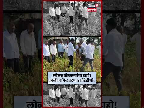 Beed News | वाळलेल्या सोयाबीन पिकात शेतकऱ्यांचा आक्रोश! काळीज पिळवटणारा आक्रोश | N18S