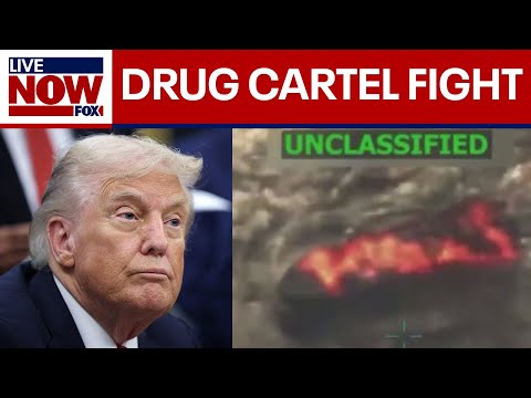 Video | Trump: U.S. in 'armed conflict' with drug cartels | LiveNOW from FOX
