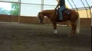 YouTube          Nu Steps to Cash