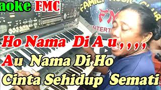 Download lagu Sapala Naung Hupillit Remik Padang NADA WANITA || By Nagogoi Voice ||  KARAOKE KN7000 FMC mp3