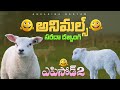 గొర్రెలు గొర్రె పిల్లలు Lambs Funny Entertainment Episode 