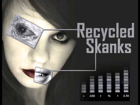 LMFAO, Lil Jon & Jesse Sarr VS. Rehab, Kill the Noise & Dillon Francis (Recycled Skanks Mashup)
