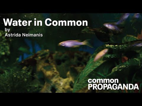 Common Propaganda & Astrida Neimanis - Water In Common