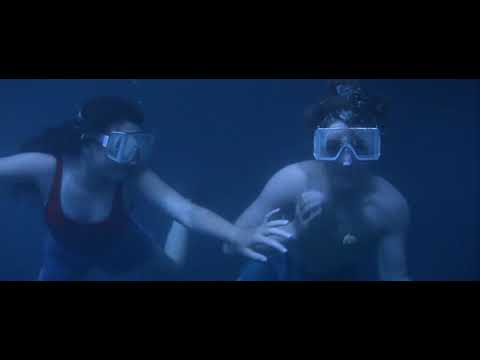 05. Whale Swim (Free Willy 2 / 1995) Soundtrack