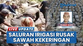 Petani Manggarai Barat Terancam Gagal Panen, usai Longsor Picu Kerusakan Saluran Irigasi Waemau 1