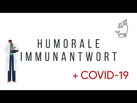 Die humorale Immunantwort | Am Beispiel von Coronaviren