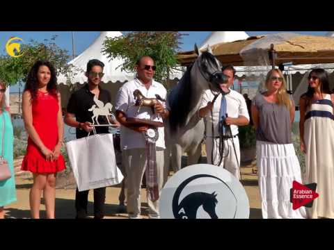 2 nd place, : N.115 NASEEM AL RASHEDIAH - MENTON 2017 - Junior Male Championship (Class 15)