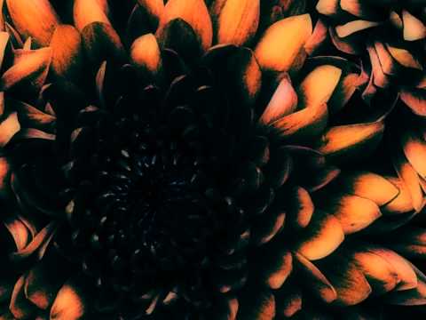 El Droopo's pics and edits