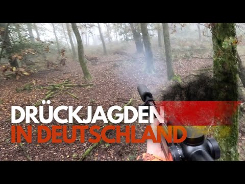 4 x driven hunt in Germany