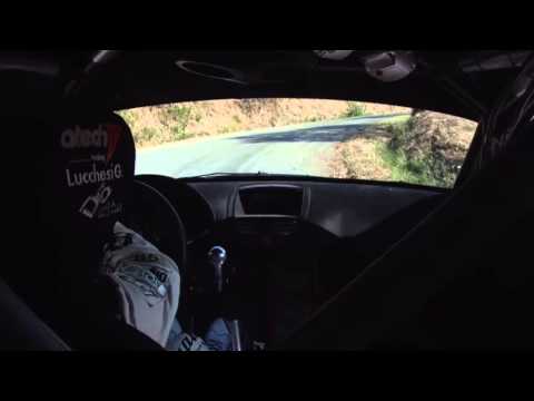 Rally di Reggello 2013  Lucchesi - Ghilardi Peugeot 207 Super 2000