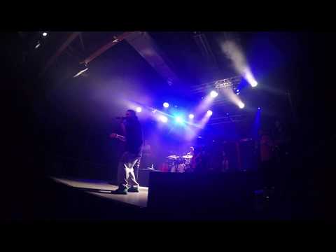 Staff 5 Element #emilyrose Wrocław A2