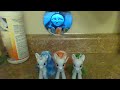 Ponies Watch The Small Railway Engines Part 2 Mike S Whistle