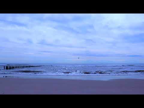 Schola - Aint Havin it