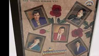 Los Temerarios - Esa mujer (audio HQ HD)