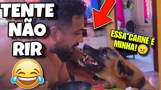 TENTE NÃO RIR: OS MELHORES VIDEOS DA INTERNET #videosengracados #tentenaorir #humor #comedia #tiktok