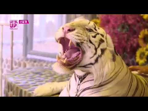 Red Velvet - " Zoo" MV