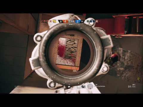 ESL/CEL/DeSBL Highlights