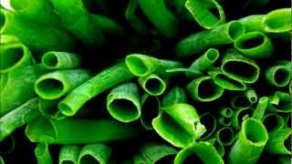 Roy Buchanan- Green Onions