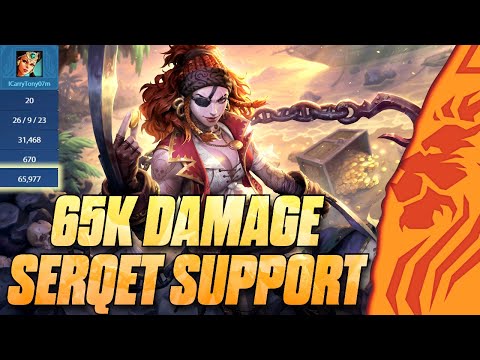 SERQET SUPPORT WITH 65K DAMAGE!