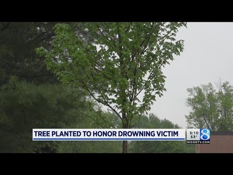 News 8 Daybreak Sunday 5 a.m. 052018