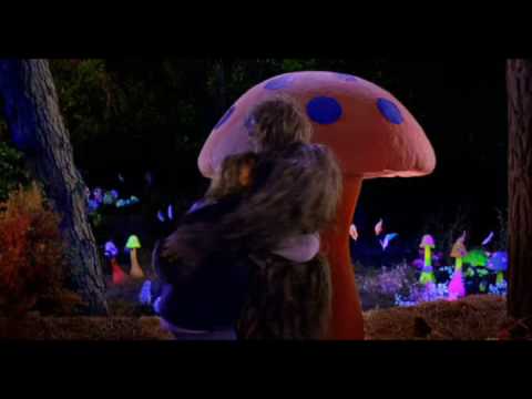 JetiPeti - Tenacious D - Gomba TRIP