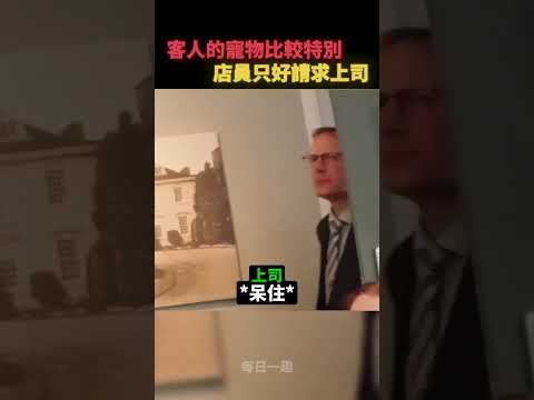 寵物友善的餐廳😹