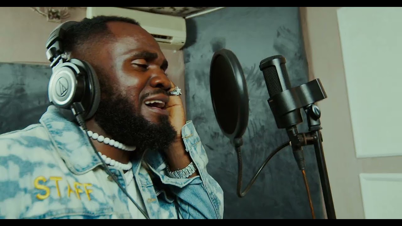 Pm voice-Naoa visualizer