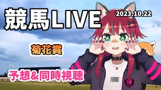 【競馬同時視聴】菊花賞を皆でわいわい見守る枠【じゃじゃみ Jajami/Vtuber】