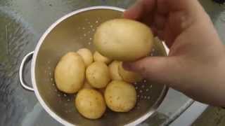 preview picture of video 'Potato Reveal First Attempt At Growing Potatoes In Containers Part 7'