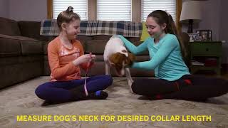 DIY Dog Collar | STEAM Tutorial | Valero