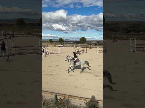 7 de diciembre de 2025