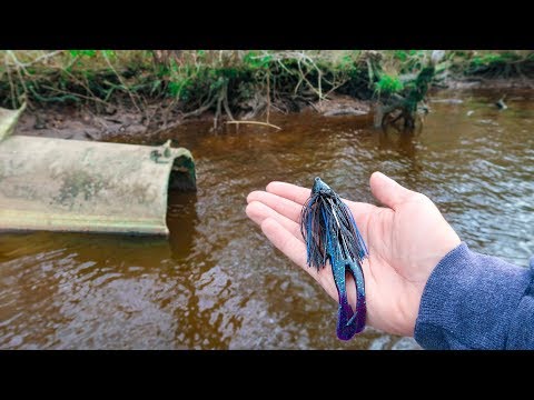 Fishing BIG JIGS for GIANT Bass (LOADED) Video