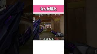 #valorant #valorantclips #ヴァロラント #fps #gaming