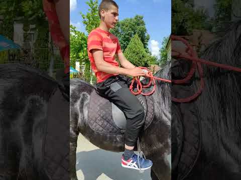 Spasovdan 2023 selo Sanad