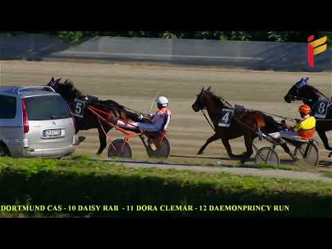 III corsa del 5 ottobre 2022 - 3 Anni - Metri 2000