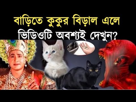 গৃহে কুকুর বিড়াল আসা শুভ না অশুভ? কি বলছেন শ্রীকৃষ্ণ? Garud Puran | cat fight sing