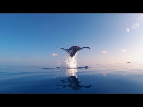 Equatic Vibe - Magey Raajje