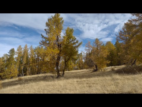 CIMA & BALCONE di MARTA val ROIA 2025